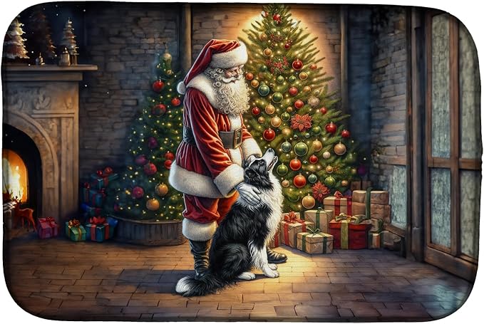 Border Collie 4076