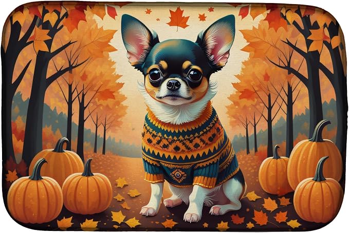 Chihuahua Tricolor