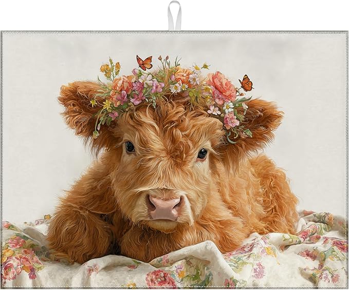 Highland Cow