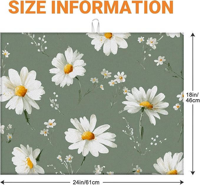 White Daisy Flowers