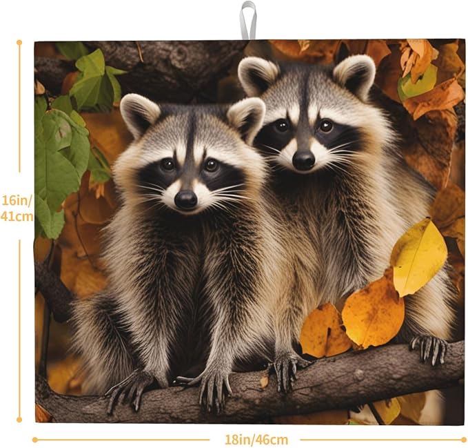 Autumn Leaf Brown Raccoons