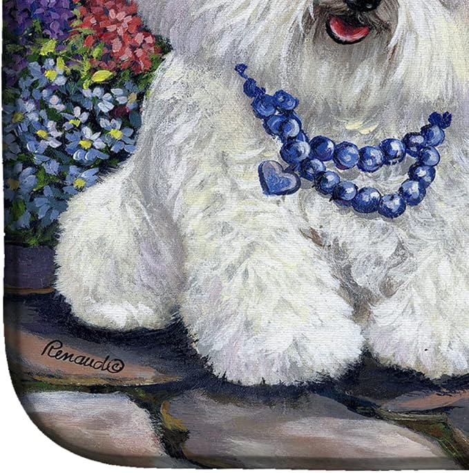 Bichon Frise Sisters