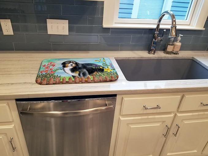 Bernese Mountain Dog