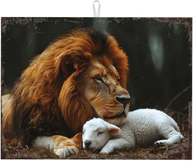 Lion Lamb