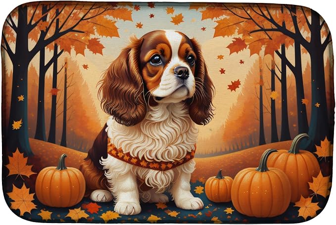 Cavalier Spaniel