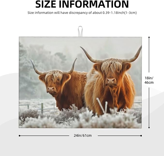 Highland Cow