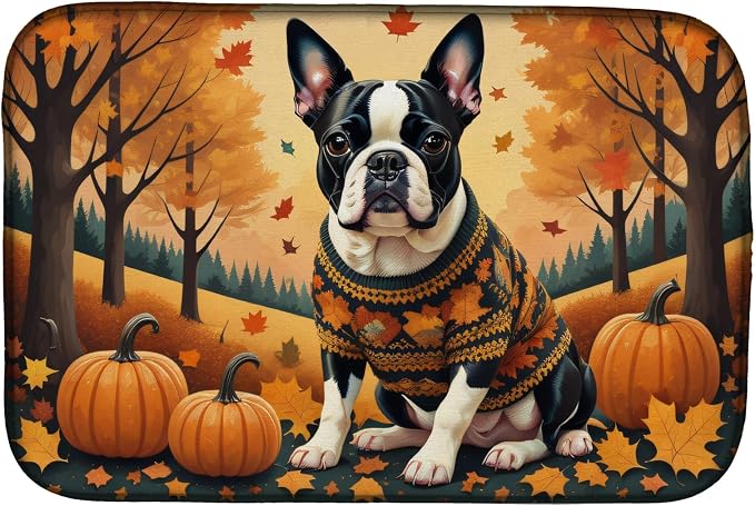 Boston Terrier