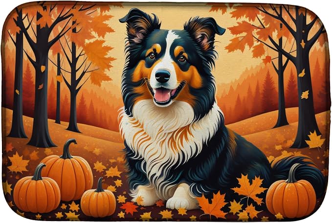 Collie