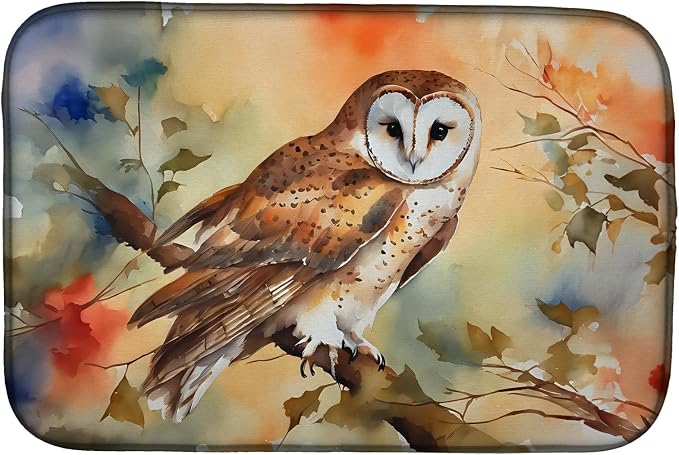 Barn Owl 3182