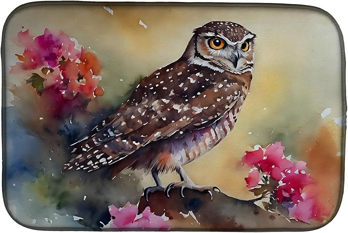 Burrowing Owl 3196