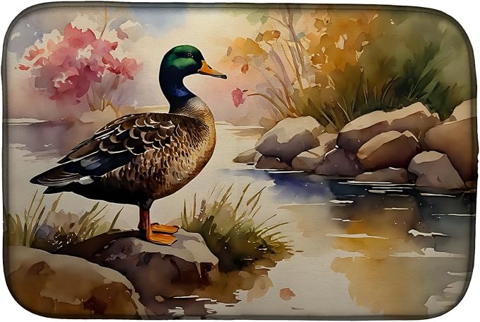American Black Duck 3179