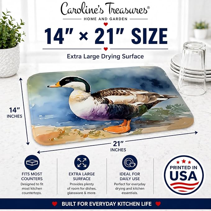 Common Eider Duck 3204