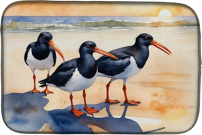 Oystercatchers Foraging 7523