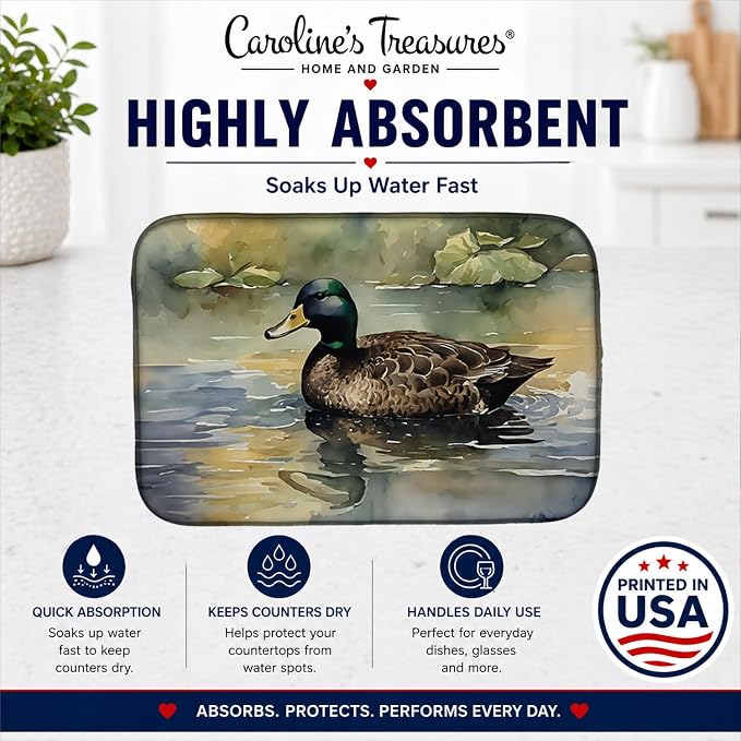 American Black Duck 3178