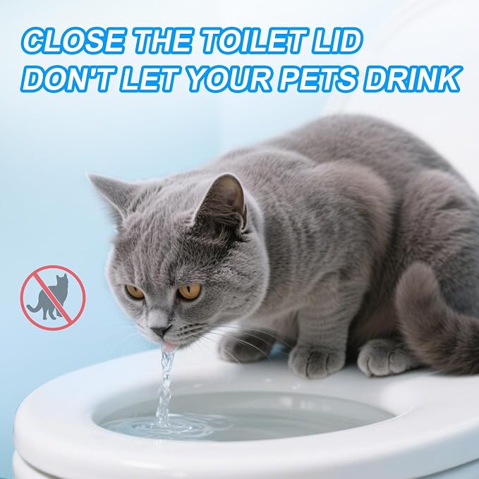 __DEFAULT__