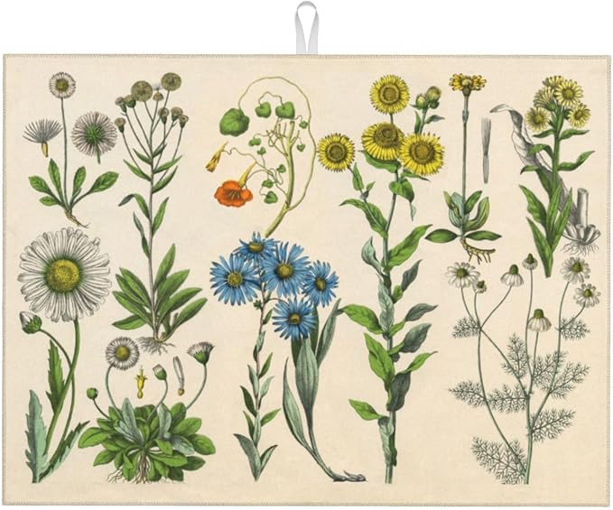 Plants Herbs Floral