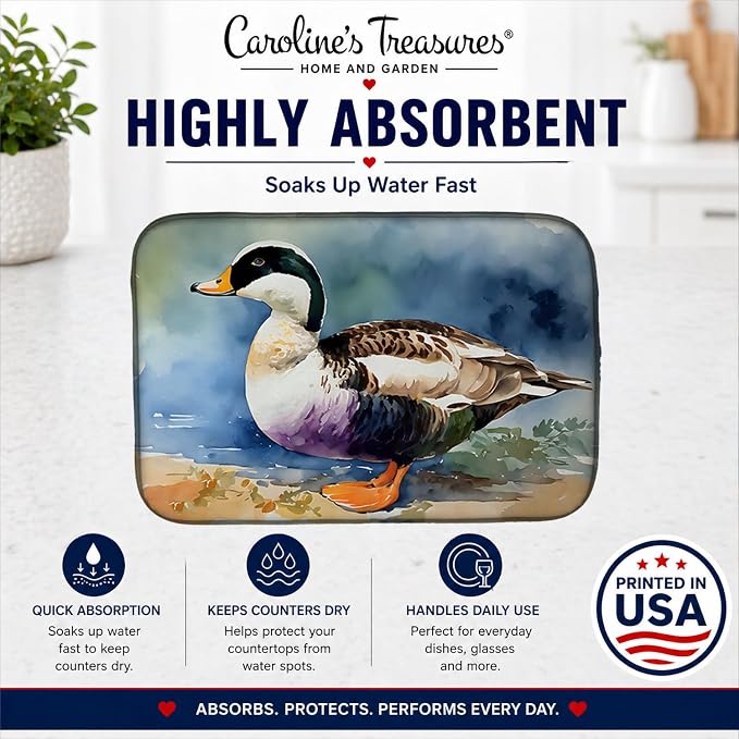 Common Eider Duck 3204