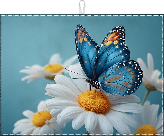 Daisy Flowers Butterfly