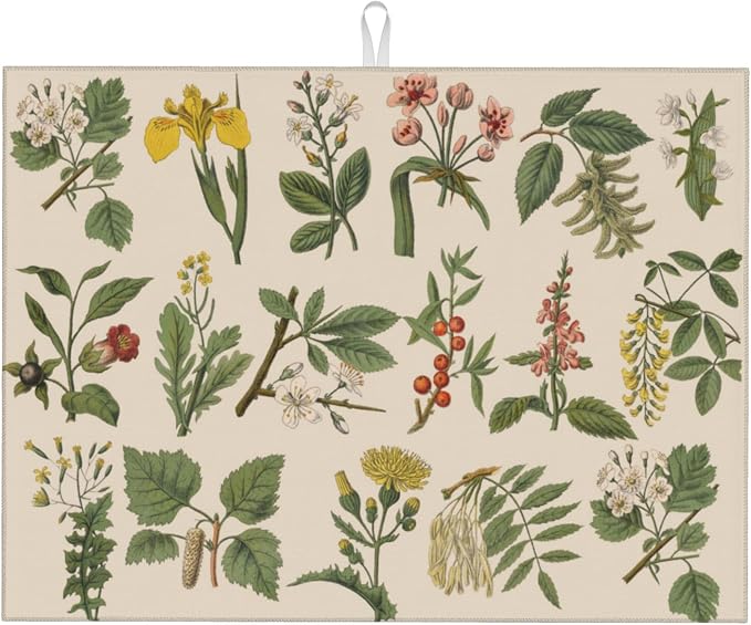 Plants Herbs Floral-2