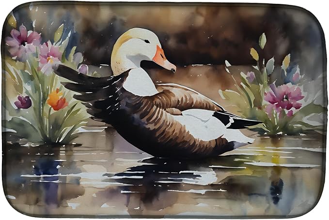 Common Eider Duck 3203