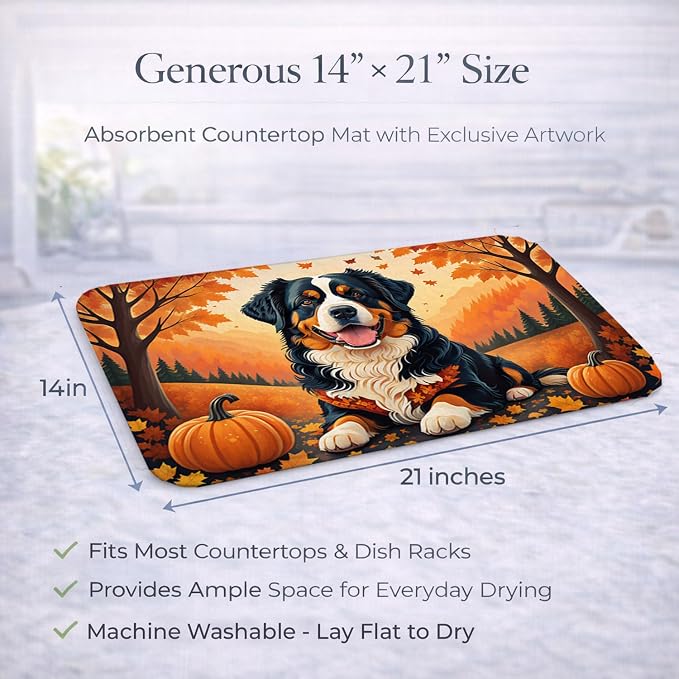 Bernese Mountain Dog