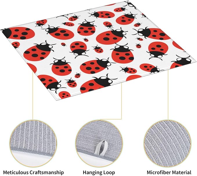 Ladybug Cartoon
