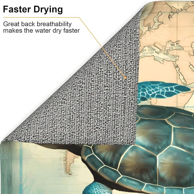 Ocean Turtle Sea Animal
