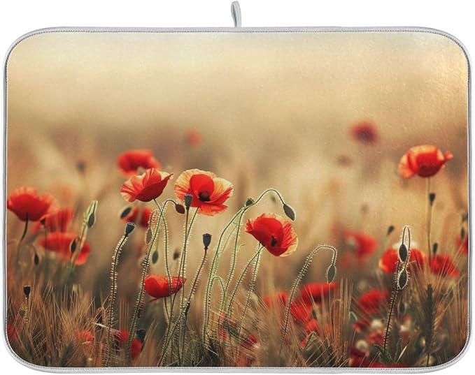 Wild Poppy