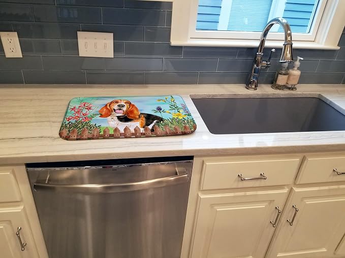 Basset Hound