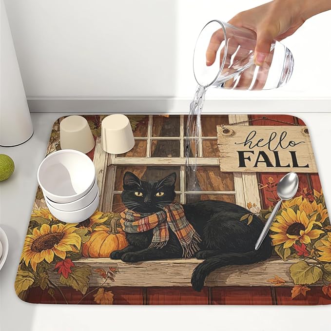Fall Cat