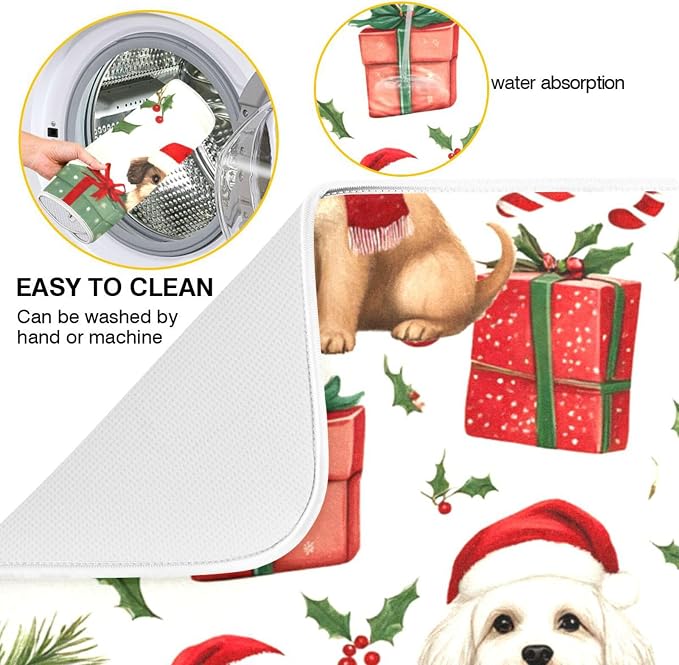 Multi 24