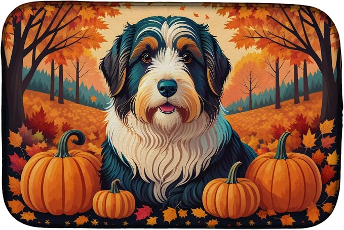 Bearded Collie