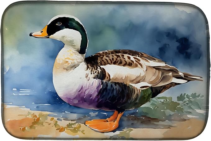 Common Eider Duck 3204
