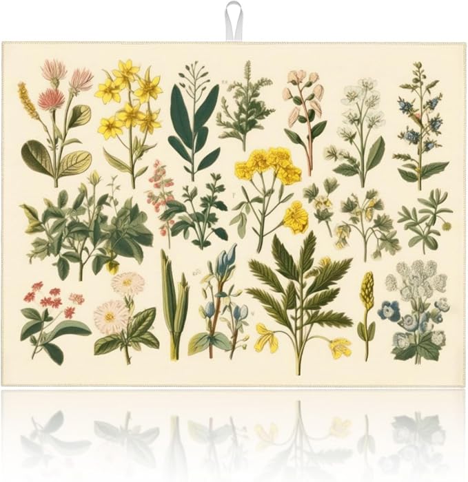 Plants Herbs Floral