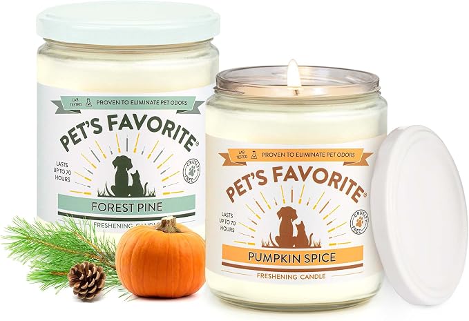 Pumpkin Spice and Forest Pine