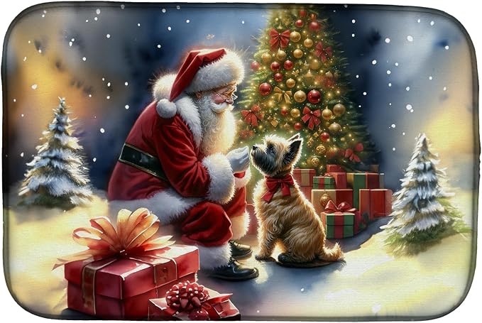 Cairn Terrier 4088