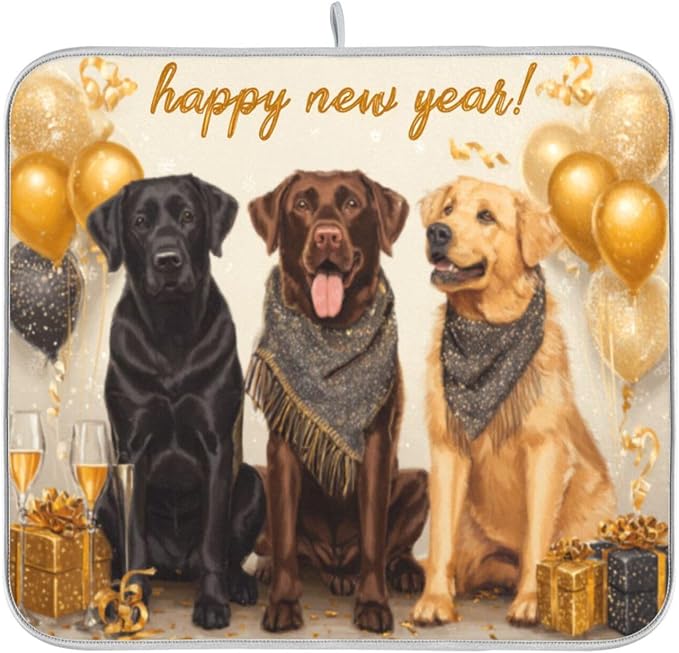 three black labrador dogs