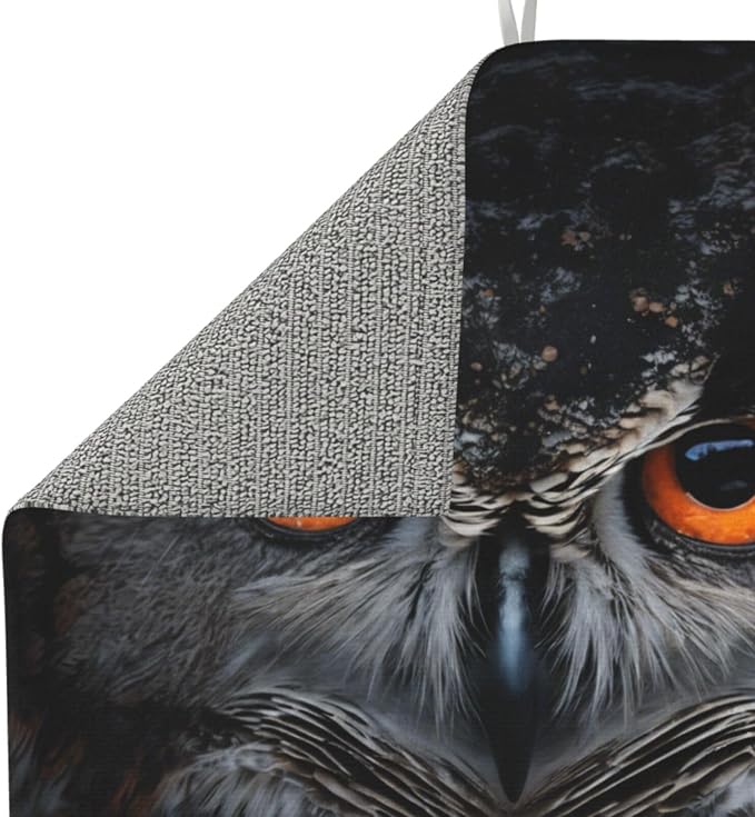 Orange Eye Owl