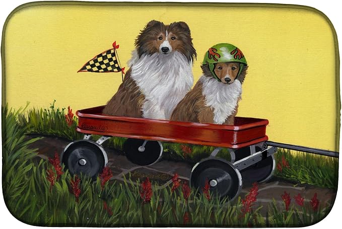 Sheltie Sheepdog Express