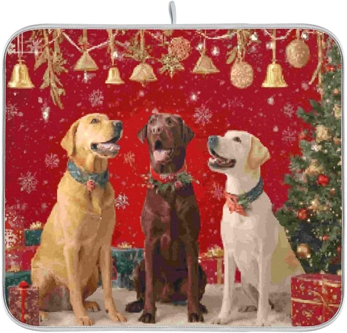 three labrador retrievers