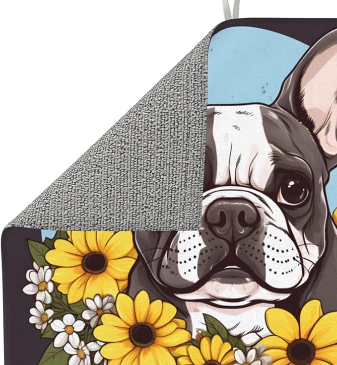 Bulldog Yellow Daisy White Flowers