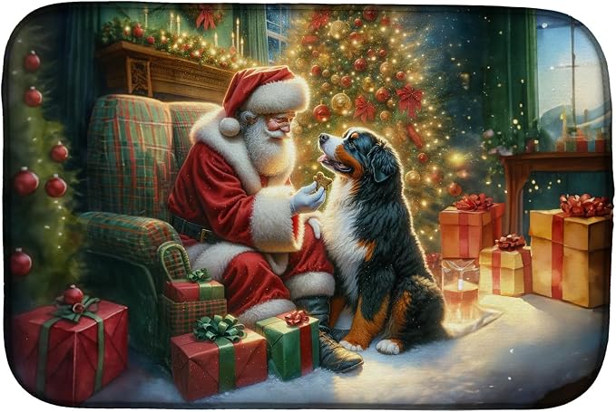 Bernese Mountain Dog 4069