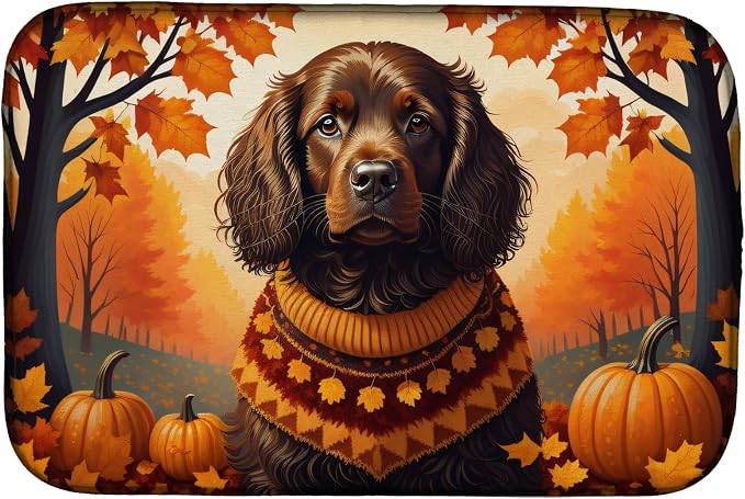 Boykin Spaniel