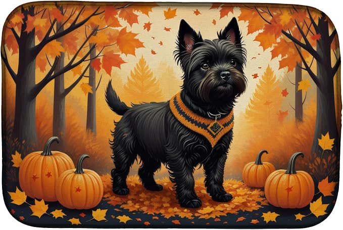 Cairn Terrier Black