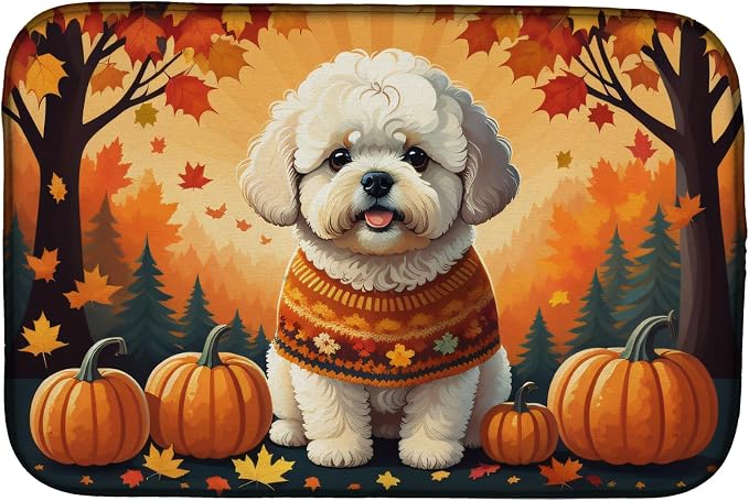 Bichon Frise