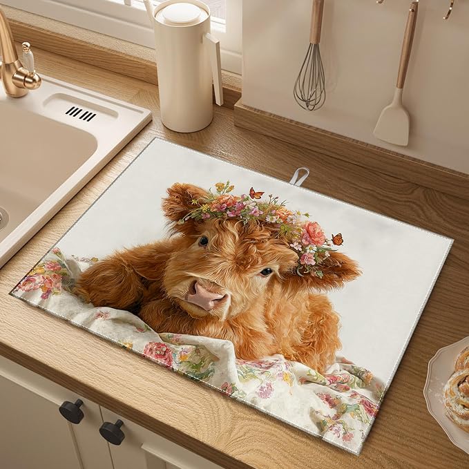 Highland Cow
