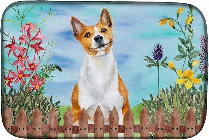 Basenji
