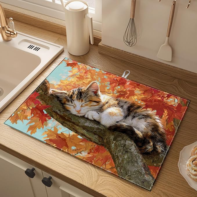 Fall Cat