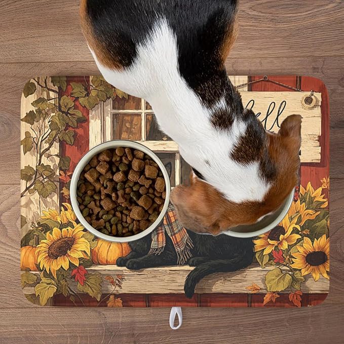 Fall Cat