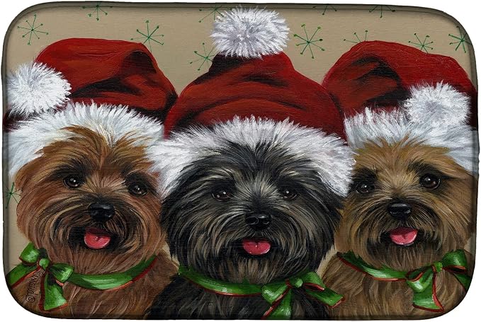 Cairn Terrier Christmas Ceaser and Co